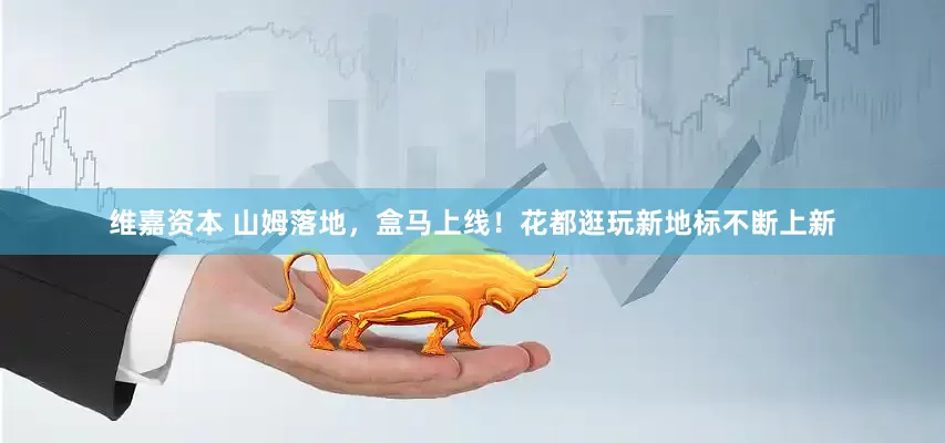 维嘉资本 山姆落地，盒马上线！花都逛玩新地标不断上新